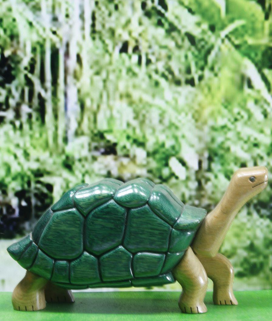 Tortoise